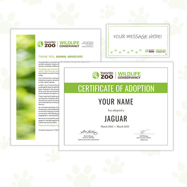 WILDLIFE CONSERVANCY | Jaguar