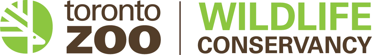 d6606085031cd96b952d5416929cd089