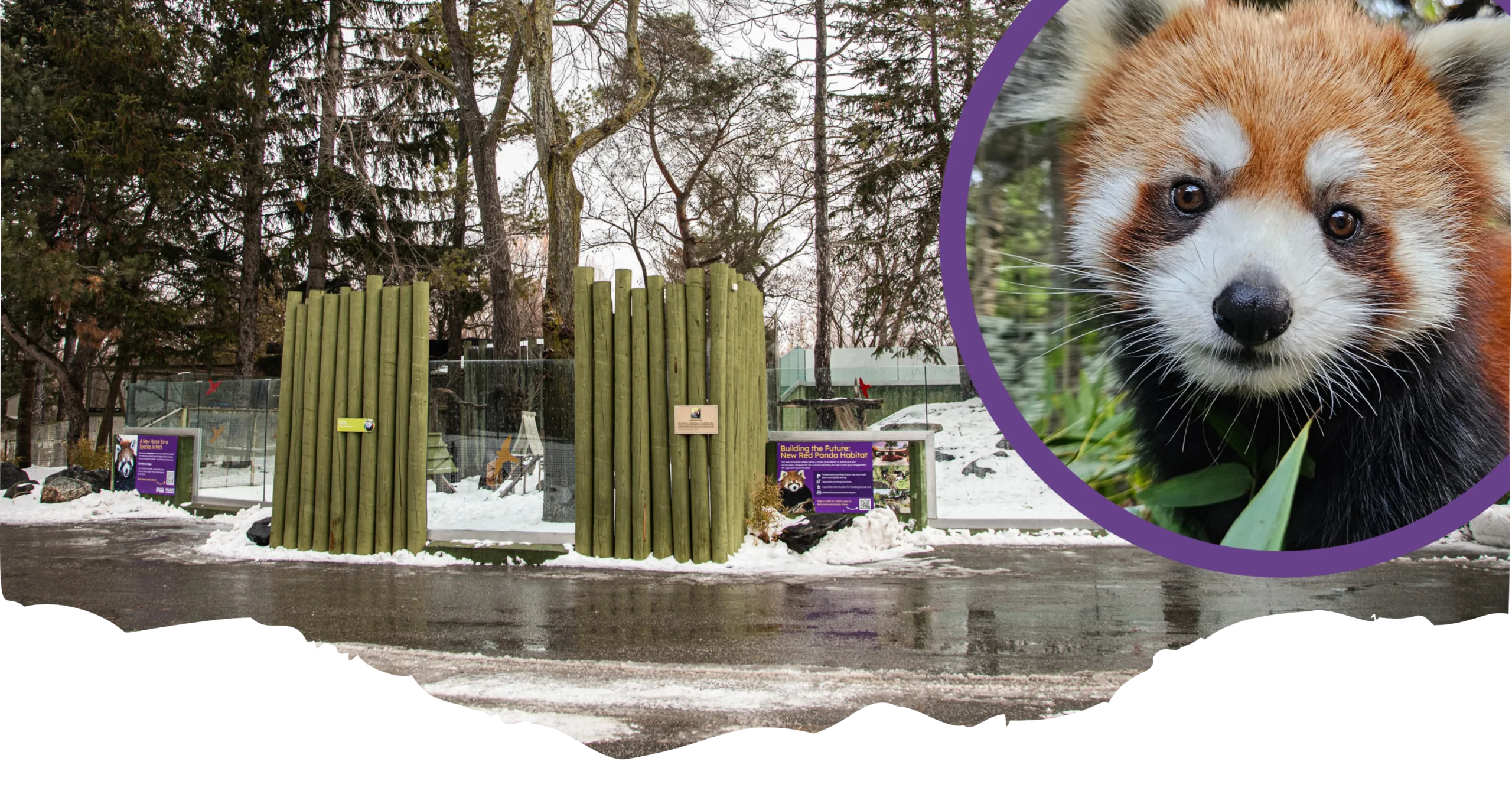 Exciting Changes Ahead to your Toronto Zoo's Front Entrance