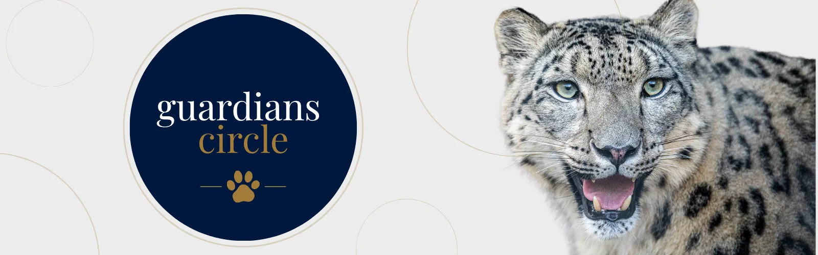 Website -Lightbox - Legacy (1)