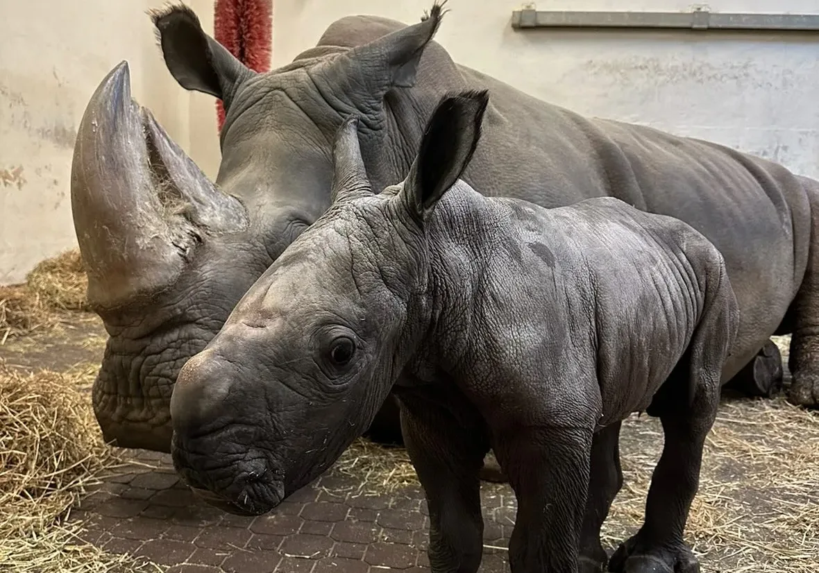 414821527_708723027892246_3879394918544461323_n